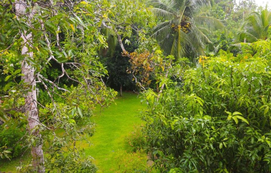 Luxury Villa In Galle