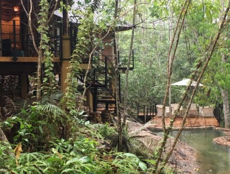 Forest lodge, Avissawella