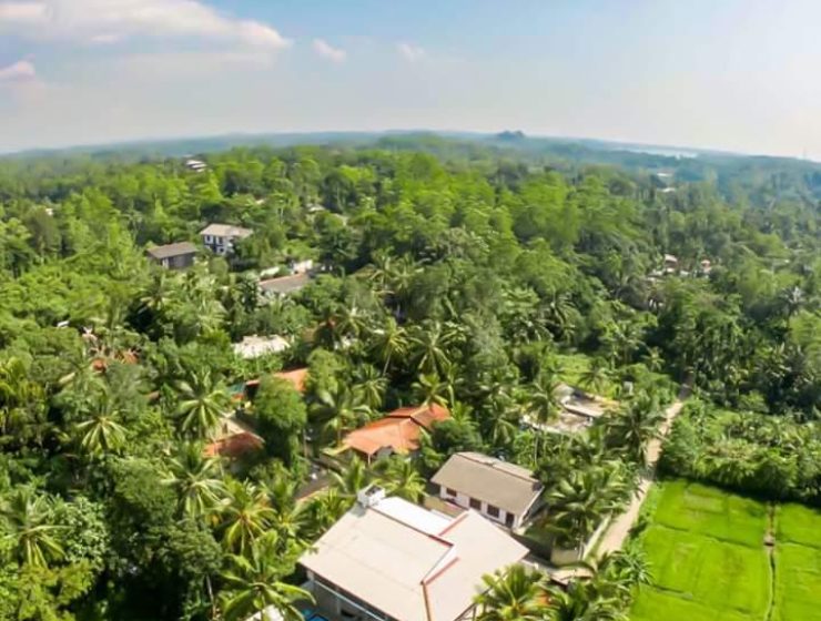 The Cinnamon Drift Hikkaduwa